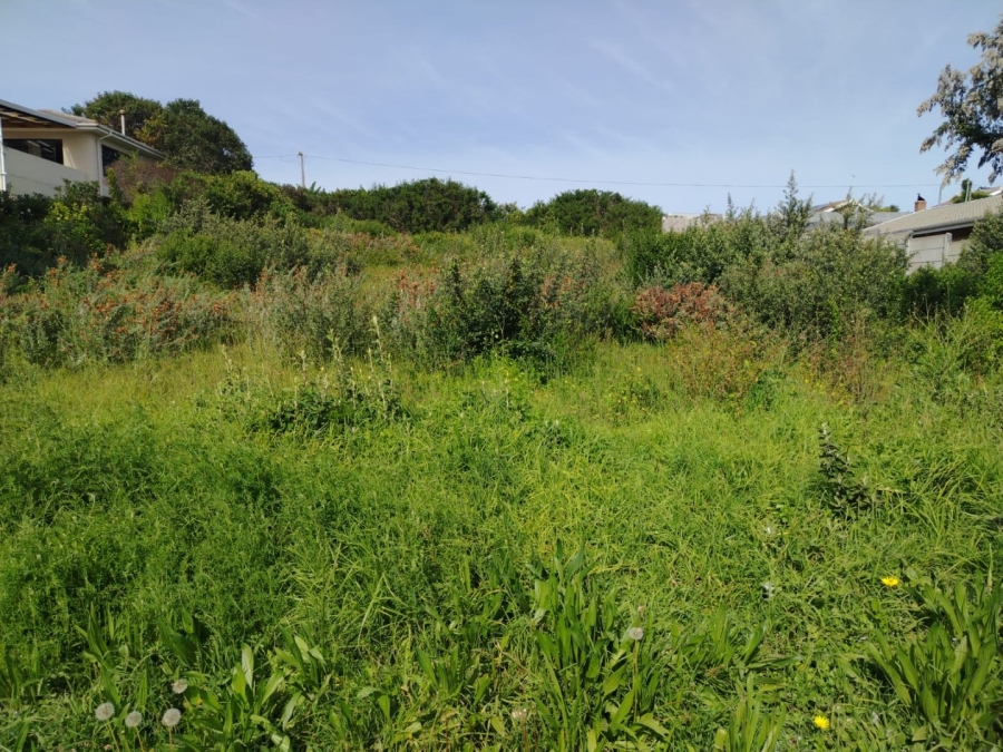 Commercial Property for Sale in Kingfisher Creek Western Cape